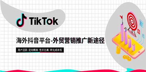 TikTok广告投放介绍,推广开户,营销平台 TikTok广告代理